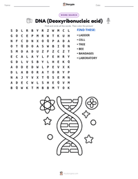 DNA (Deoxyribonucleic acid) printable worksheet preview