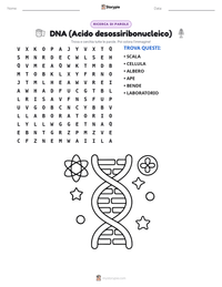 Anteprima della scheda stampabile di DNA (Acido desossiribonucleico)