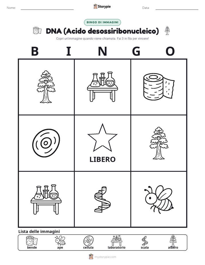 Bingo delle Immagini