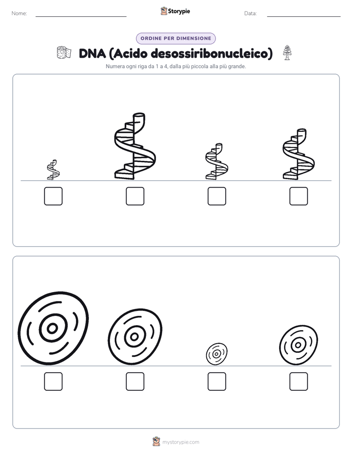 Ordine di Dimensione