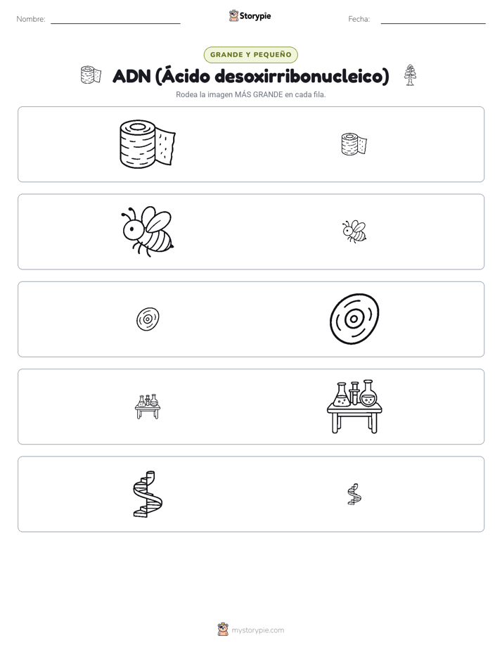 Clasificación