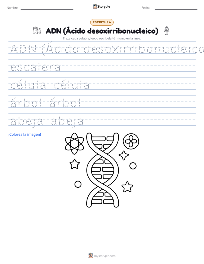 Práctica de Escritura