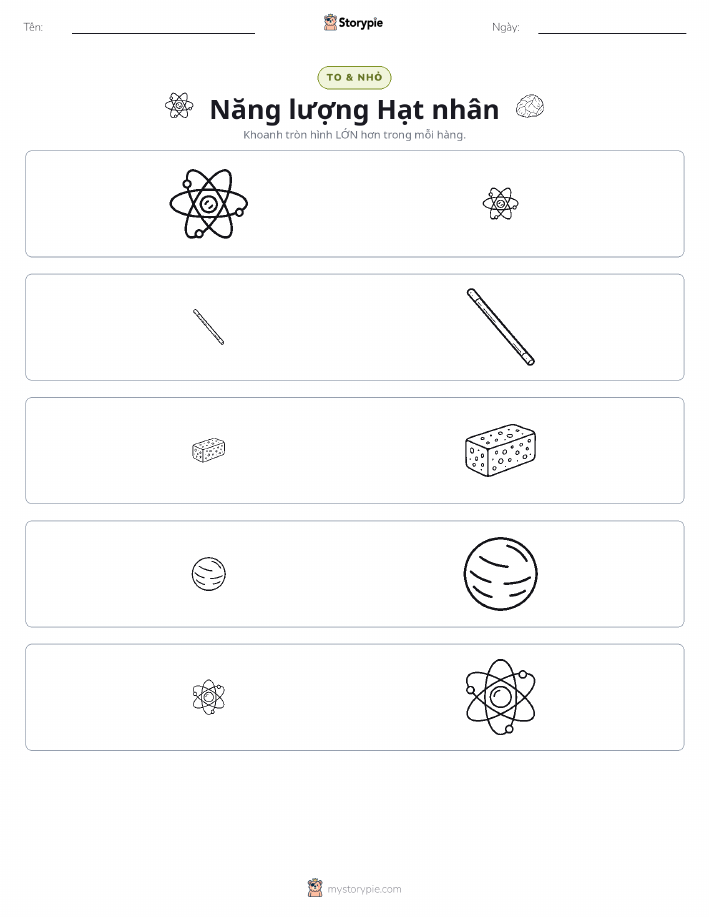 Phân Loại