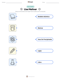 Vista previa de la hoja de trabajo imprimible de Lise Meitner