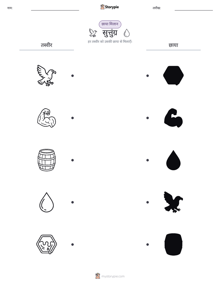 छाया मिलान