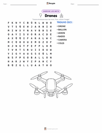 Aperçu de la feuille de travail imprimable Drones