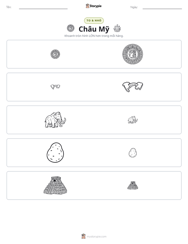 Phân Loại