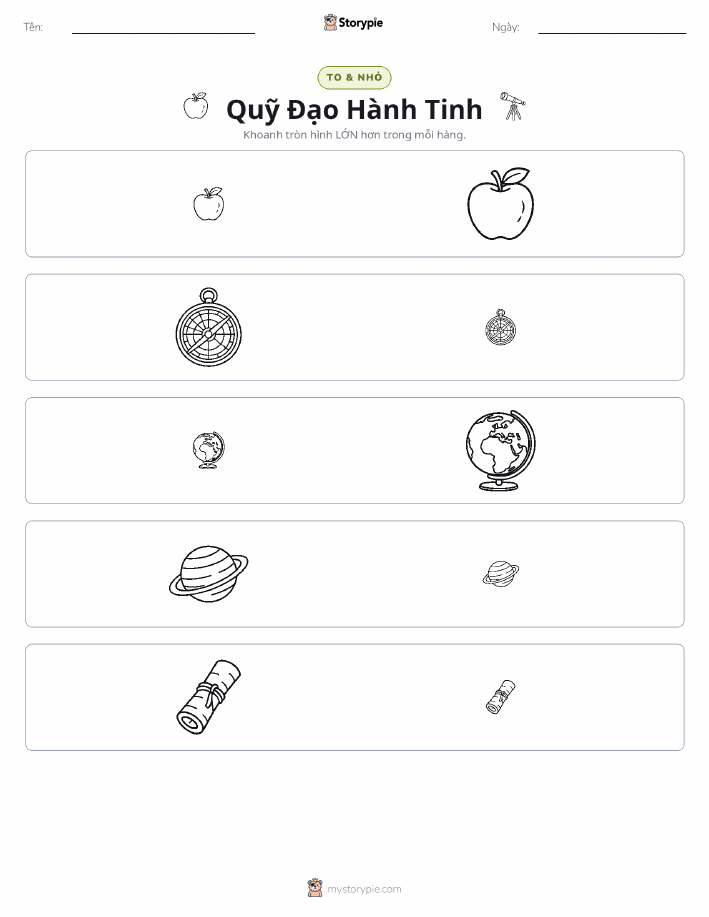 Phân Loại