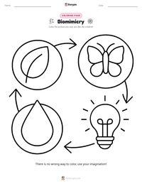 Biomimicry coloring page for kids