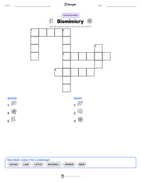 Biomimicry printable worksheet preview