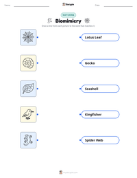 Biomimicry printable worksheet for kids