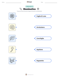 Scheda stampabile di Biomimetica per bambini