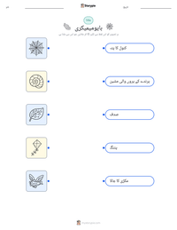 بایومیمیکری پرنٹ کرنے کے قابل ورکشیٹ کا پیش نظارہ
