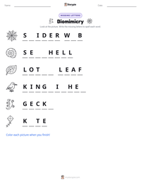 Biomimicry printable worksheet preview