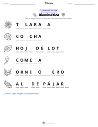 Vista previa de la hoja de trabajo imprimible de Biomimética