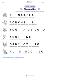 Anteprima della scheda stampabile di Biomimetica