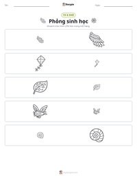 Xem trước tài liệu in sẵn Phỏng sinh học