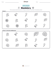 Biomimicry printable worksheet preview