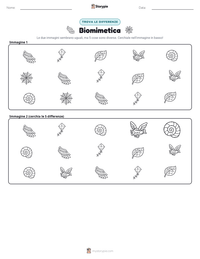 Anteprima della scheda stampabile di Biomimetica