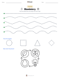 Biomimicry printable worksheet preview
