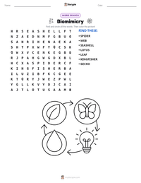 Biomimicry printable worksheet preview