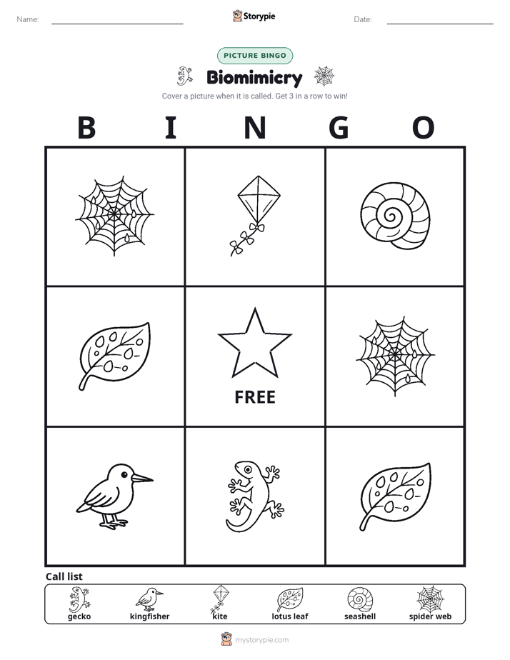 Picture Bingo