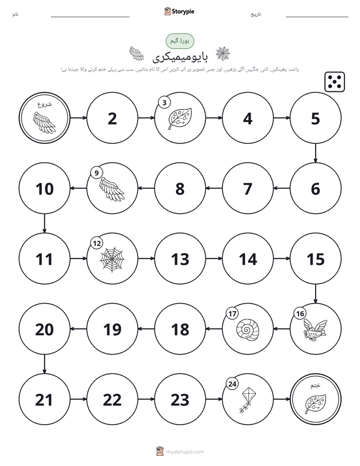 رول اور منتقل کریں کھیل