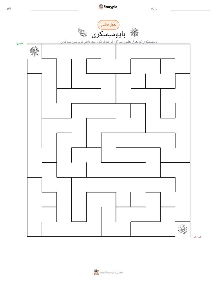 بھول بھلیاں