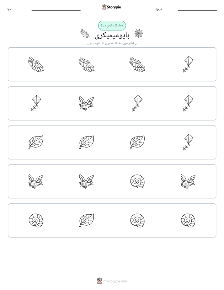 عجیب ایک