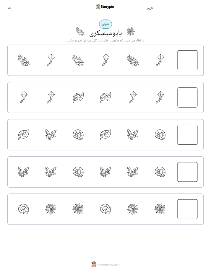 پیٹرن
