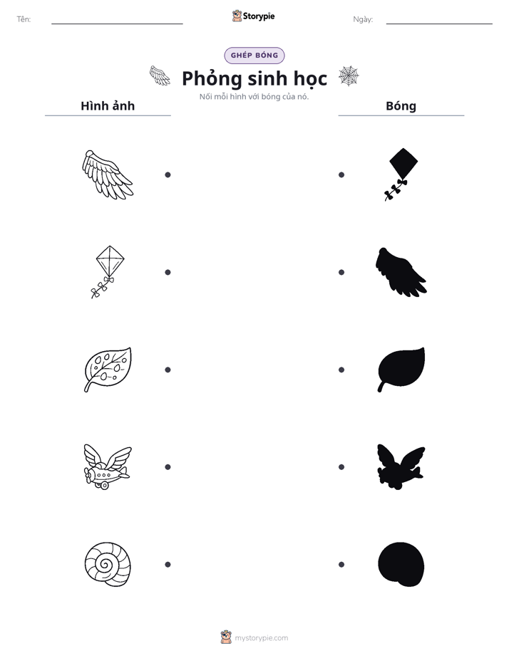 Ghép Hình Bóng