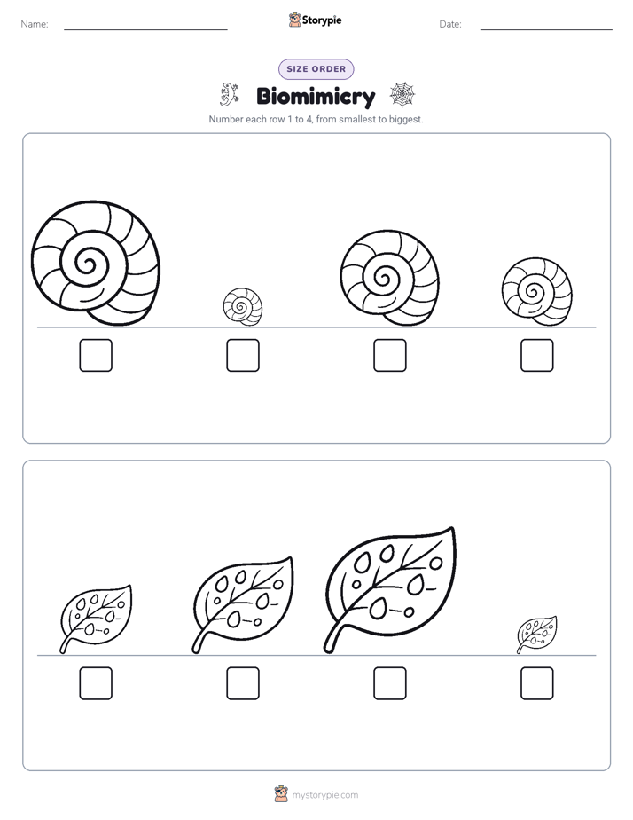 Size Order