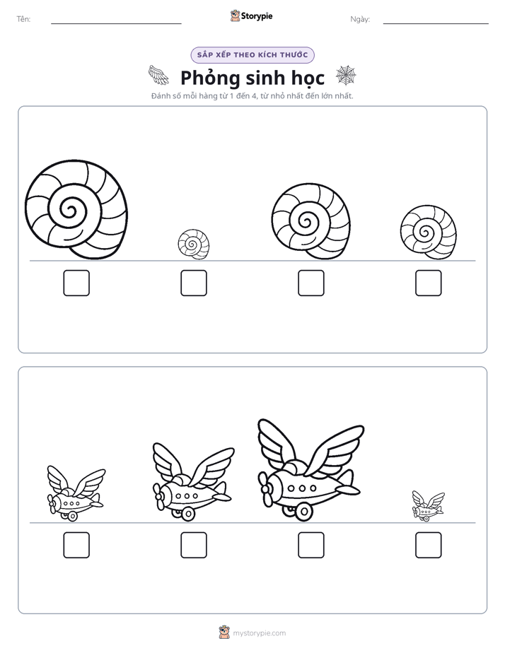 Thứ Tự Kích Thước