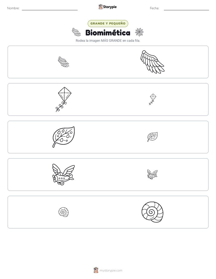Clasificación