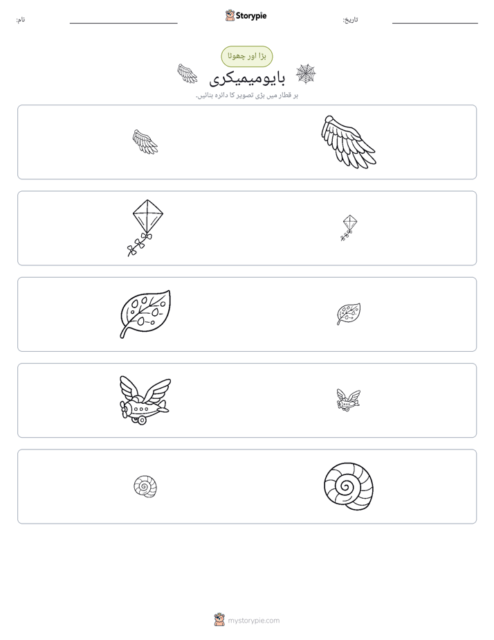 ترتیب دینا