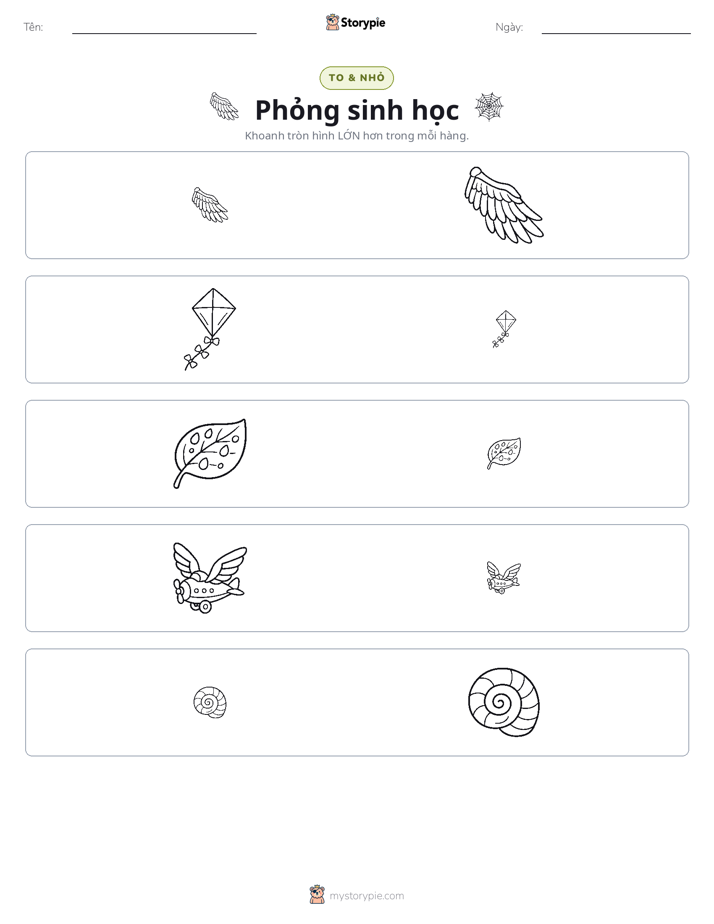 Phân Loại