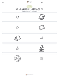 세실리아 페인-가포슈킨 인쇄 가능한 워크시트 미리보기