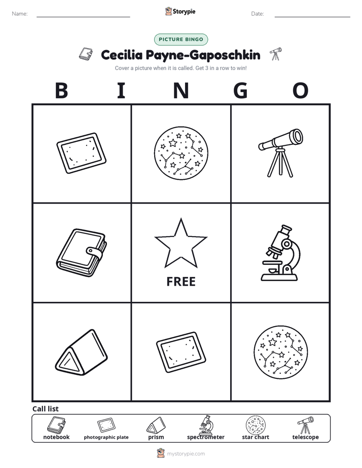 Picture Bingo