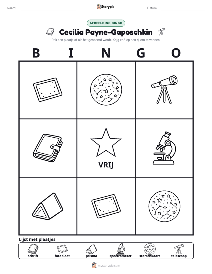 Afbeelding Bingo