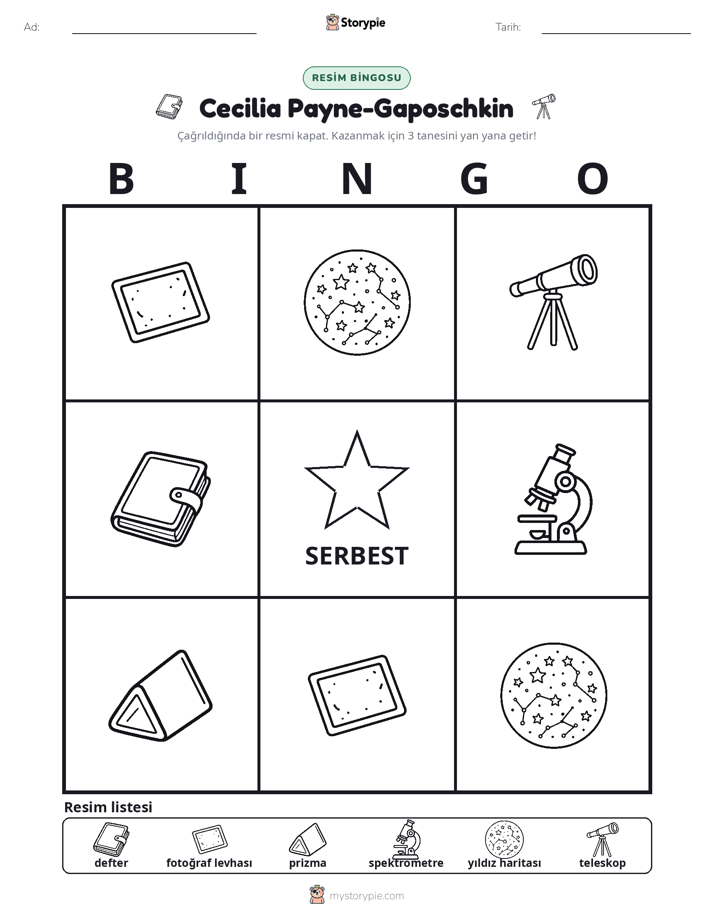 Resim Bingo