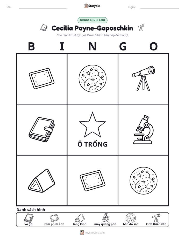 Bingo Hình Ảnh