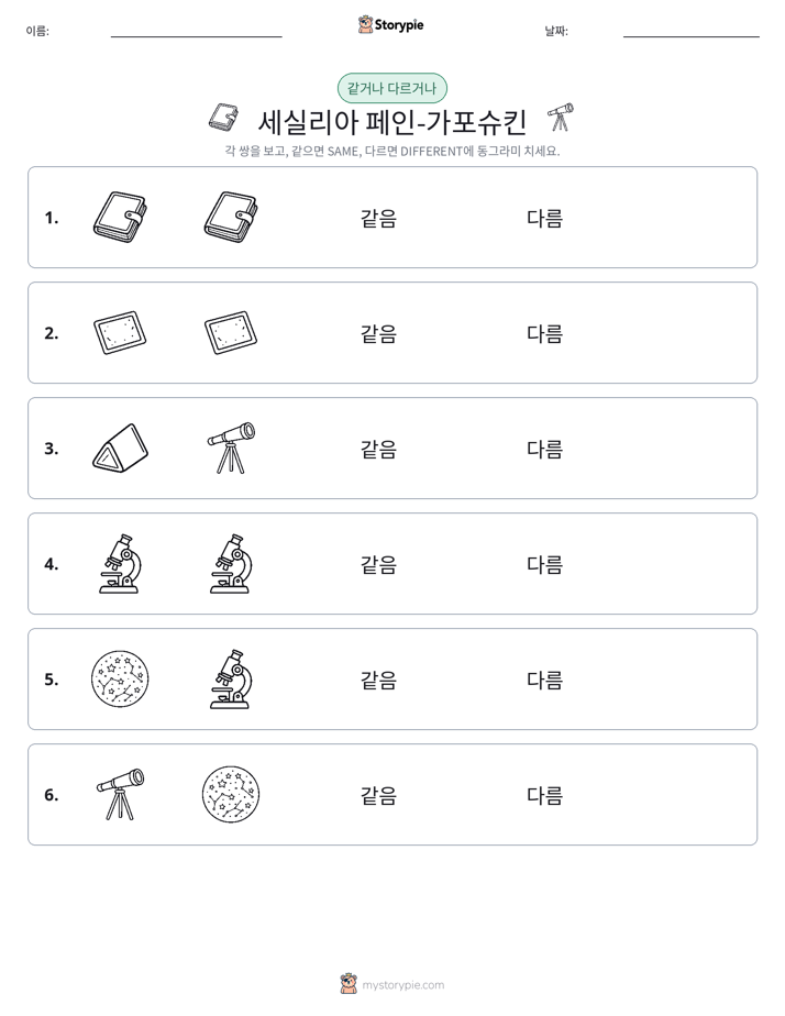 같은 것 또는 다른 것