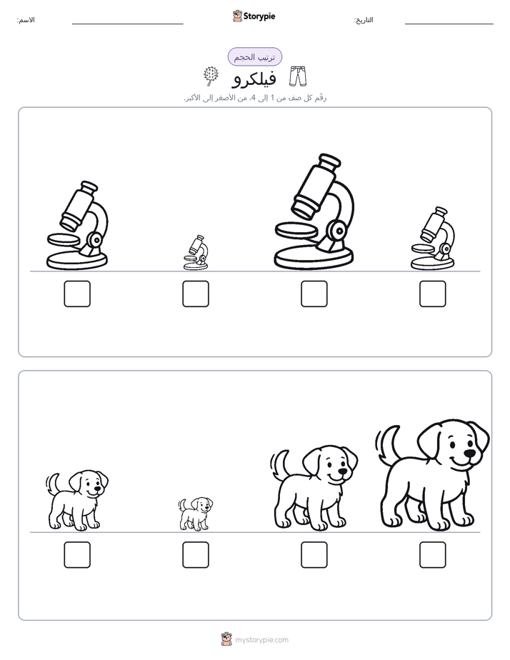 ترتيب الحجم