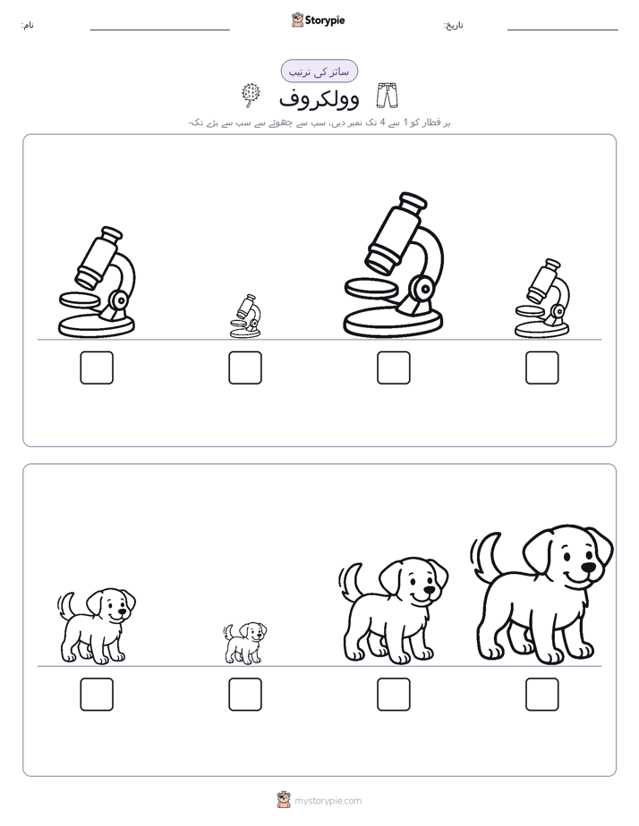 سائز کی ترتیب