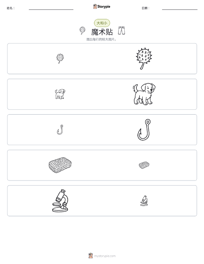 分类