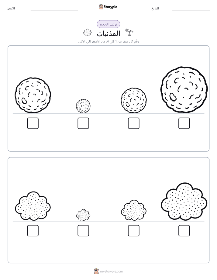 ترتيب الحجم