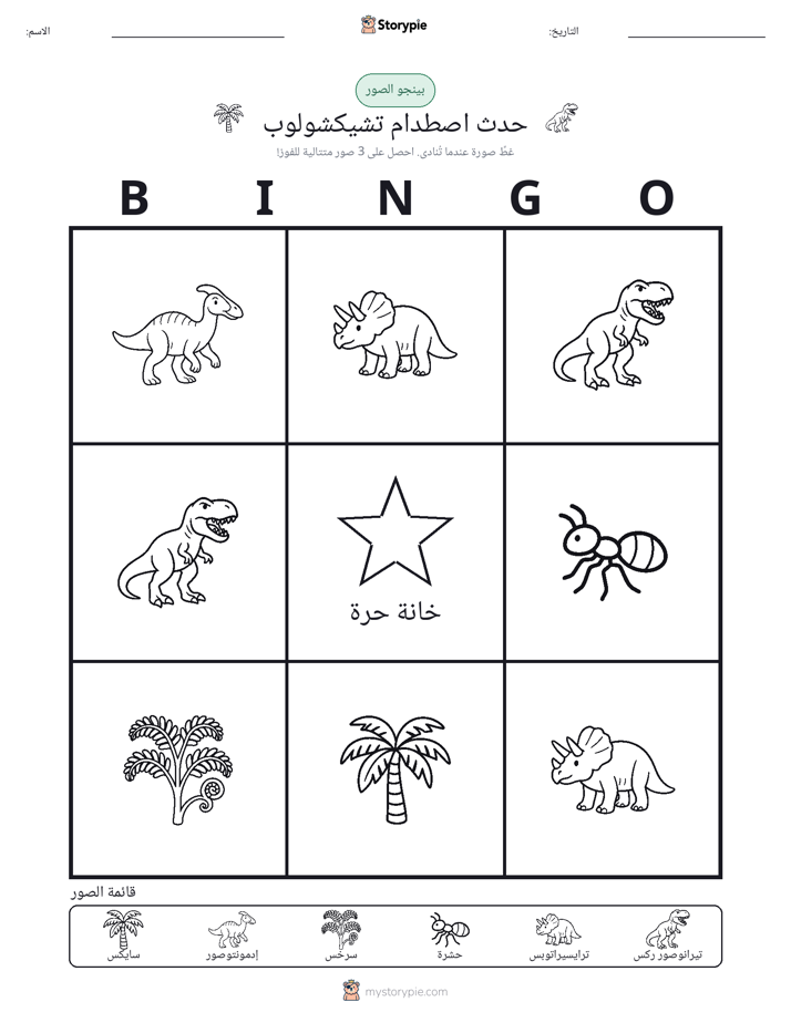 بينغو الصور