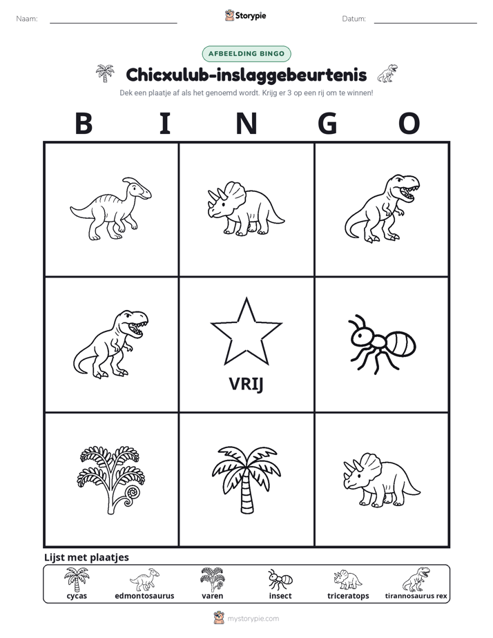 Afbeelding Bingo