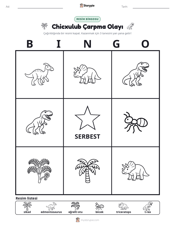 Resim Bingo
