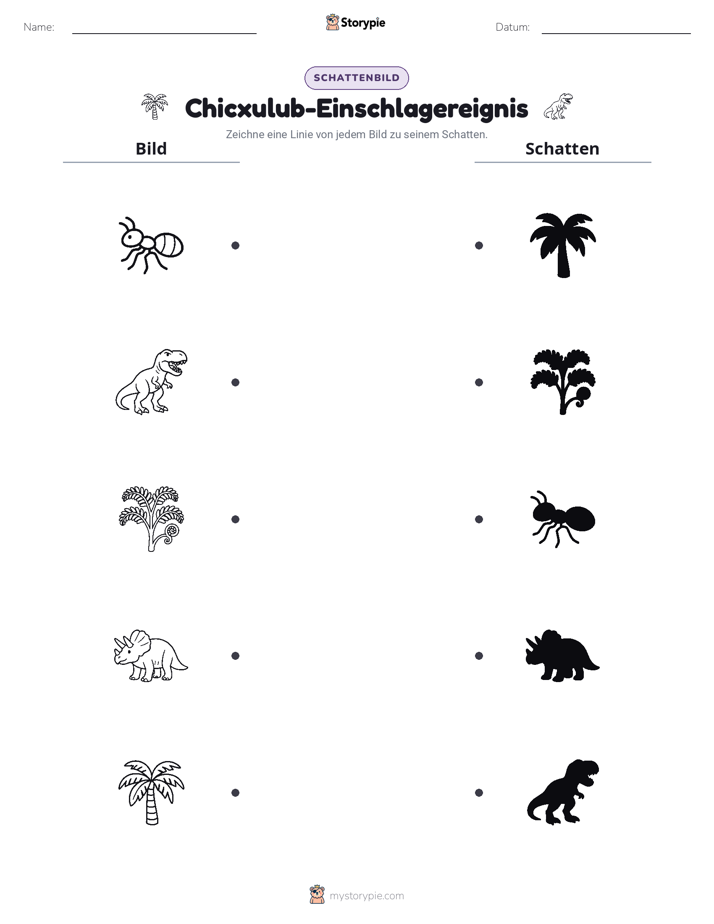 Schattenmatch